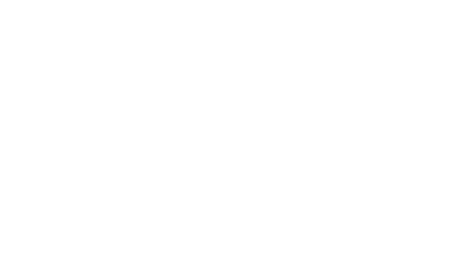 Nassauer Schweiz Logo